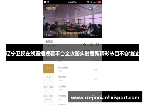 辽宁卫视在线直播观看平台全攻略实时更新精彩节目不容错过